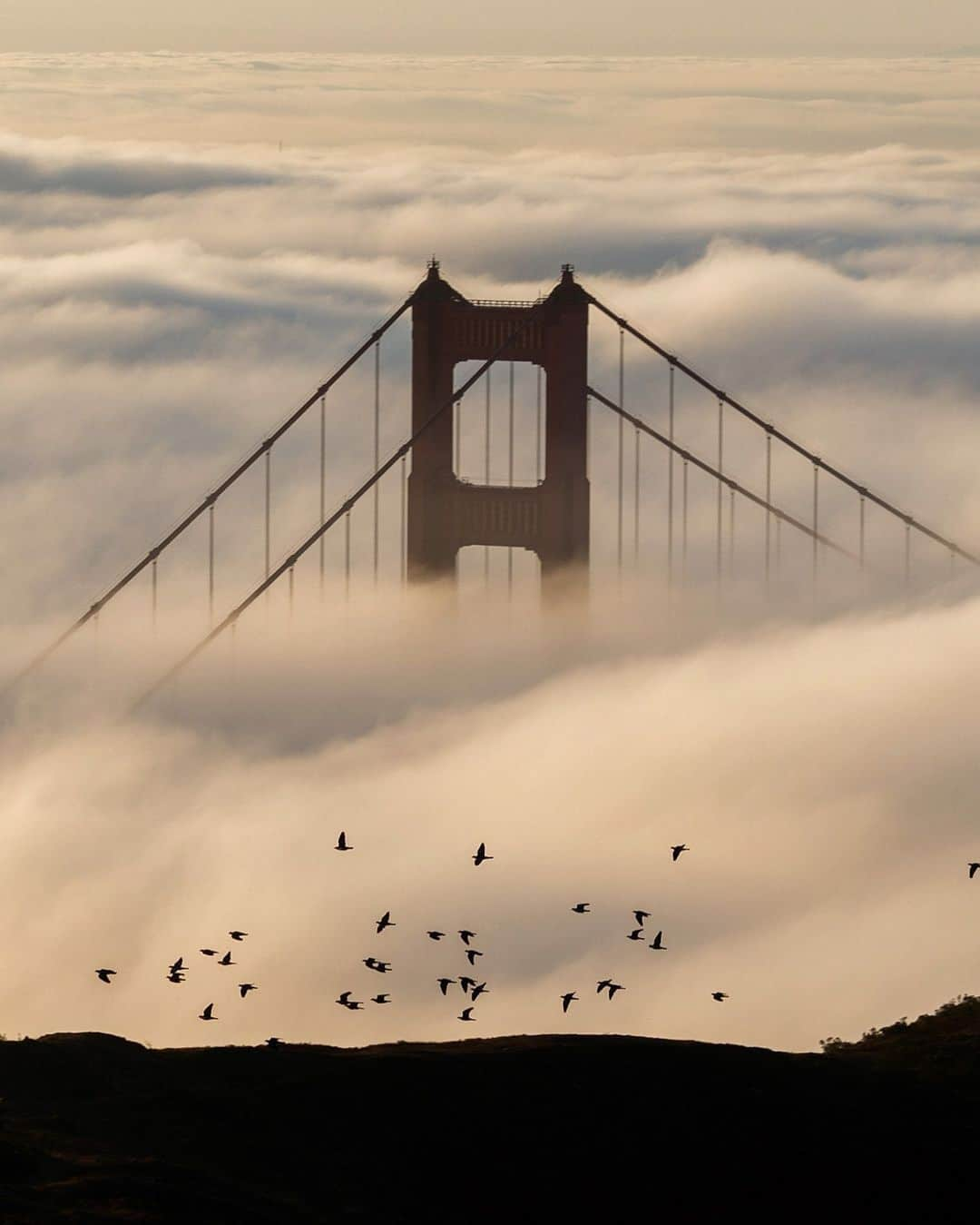 NikonUSAさんのインスタグラム写真 - (NikonUSAInstagram)「If your winter trips are on hold, don't worry - we've got your virtual travels covered. For this #WanderlustWednesday, taking you on a virtual trip above the clouds (and you didnt have to wake up at dawn to see it)!  📷 @jujibear with the Nikon Z 6 and 70-200mm lens  Take today to go back through your old travel photos and share your favorites with us using #NikonNoFilter for a chance to be featured!  #Zcreators #landscapephotography #mirrorlessphotography #travelphotography #NikonZ6 #Z6 #travelphotography」12月17日 0時32分 - nikonusa