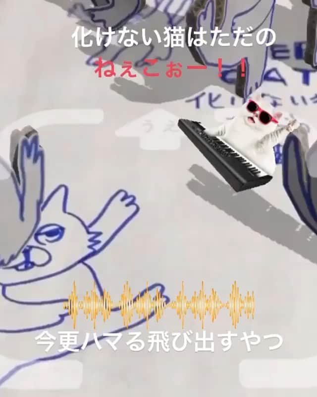 横沢ローラのインスタグラム：「化けない猫はただの猫！  すごい踊ってくれる！ #化けない猫はただの猫 #onomatopel  #supercat  #妖怪ソング」