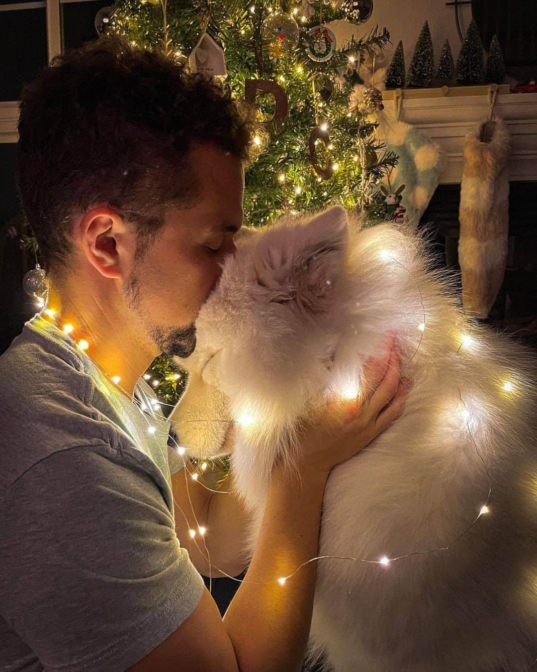 のインスタグラム：「“Nothing purer than a dog’s love” - Want to get featured like them? Join “The Barked Club” on FACEBOOK and post something now! 👉 barked.com - 📷 @boomer_the_landcloud - #TheBarkedClub #barked #dog #doggo #Samoyed」