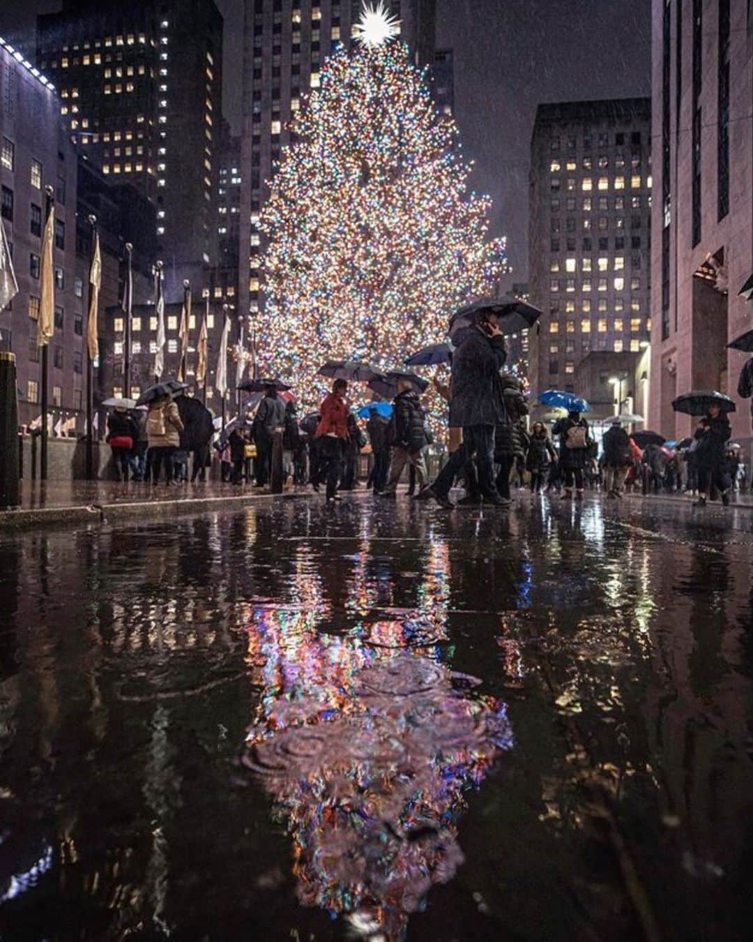 GILTのインスタグラム：「Alexa, play “New York, New York” by Frank Sinatra. Photo by: @craigsbeds.」