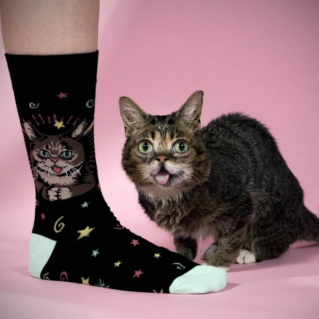 Lil BUBさんのインスタグラム写真 - (Lil BUBInstagram)「It’s Lil BUB’s Last Chance Before Christmas Sale at the link in our bio (www.lilbub.com/store). Friday is the USPS deadline for orders to arrive before Christmas, so there's still time!  Place your order now for 33% off the best BUB stuff (Plush Toys, Knit Sweaters, Calendars, Socks, and Face Masks), plus another 10% off your entire order with a $1 donation to special needs pets, plus free gifts with every purchase. The Gift of BUB is a gift for all. #bestjobbub #giftofbub #lilbub」12月17日 2時50分 - iamlilbub