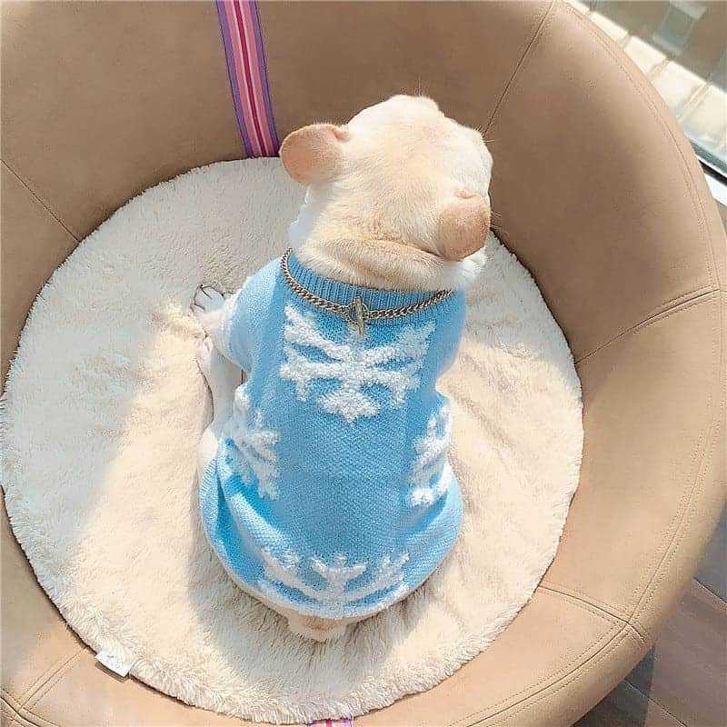 French Bulldogさんのインスタグラム写真 - (French BulldogInstagram)「Snowflake French Bulldog Sweater ❄❄❄ Hot tea, 🍵 a cozy blanket, and watching the snow falling 🌨 outside are three things that make the winter evenings complete. However, a final touch to the holiday atmosphere will be to dress your dog into our Snowflake French Bulldog Sweater. Embellished with giant, fuzzy Snowflakes, your little pup will look cute and stay warm. 🤍🤍🤍 Exclusive in @frenchie.world shop 🛍🛍🛍 👉 LINK IN BIO 🔝 . . . . . #frenchbulldog #french_bulldogs #frenchie #frenchies #frenchieworld #frenchbulldoglife #frenchbulldoglove #frenchiesofinstagram #frenchie_photos #frenchielove #frenchielovers #frenchiemagazine #ブヒブヒ倶楽部公式 #フレンチブルドッグ #フレンチブルドッグパイド #フレンチブルドッグブリンドル #多頭飼い #犬服 #犬服ハンドメイド #どんぐり帽子 #ベアーボア帽」12月17日 3時49分 - frenchie.world