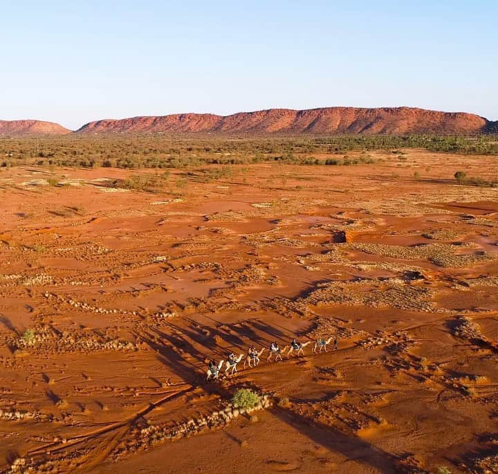 Australiaのインスタグラム