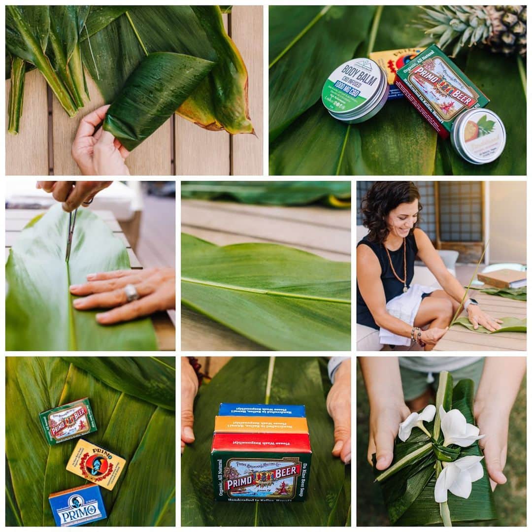 Lanikai Bath and Bodyさんのインスタグラム写真 - (Lanikai Bath and BodyInstagram)「𝗠𝗮𝗸𝗮𝗻𝗮; gift 🎁   If you’ve ever visited Hawaii (or if you’re lucky to be living here) you’re sure to have seen the Ti plant (Kī in Hawaiian). 🌱   This miracle plant is frequently used as an accent plant in landscaping and has played a very important role in our gardens for centuries.  Their dramatic foliage is eye-catching and ranges in color.  It is known as the tree of kings, and many believe that it is a good luck plant.  Ti leaves are the perfect material for  𝓌𝓇𝒶𝓅𝓅𝒾𝓃𝑔 and carrying items.  Check out the link in our bio for the 𝕗𝕦𝕝𝕝 𝕡𝕠𝕤𝕥 𝕠𝕟 𝕨𝕒𝕪𝕤 𝕥𝕠 𝕨𝕣𝕒𝕡. Step by step.  #giftwrap #makana #giftcard #unisex #christmas #melekalikimaka #holiday #stockingstuffers #ecofriendly #hawaii #hops #barley #beach #palm #lauhala #recycle #wrapping #organizer #giftset #supportlocal #lanikai #shea #kukuinut #coconut #shea #men #beer #beerlover #beerstagram #soap」12月17日 4時14分 - lanikaibathandbody