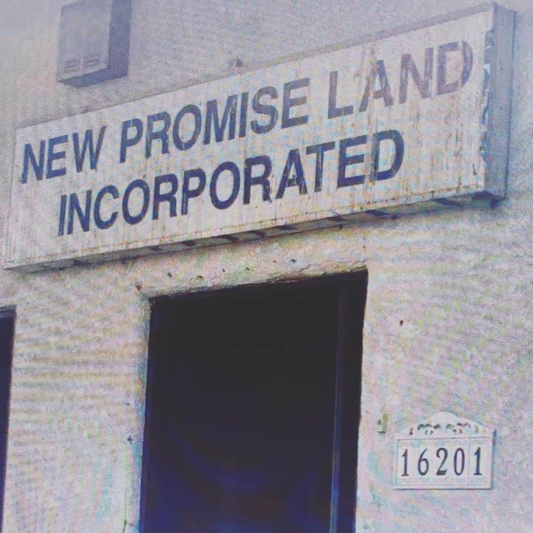 ベンジー・マッデンのインスタグラム：「New Promise Land Inc. 🥀」