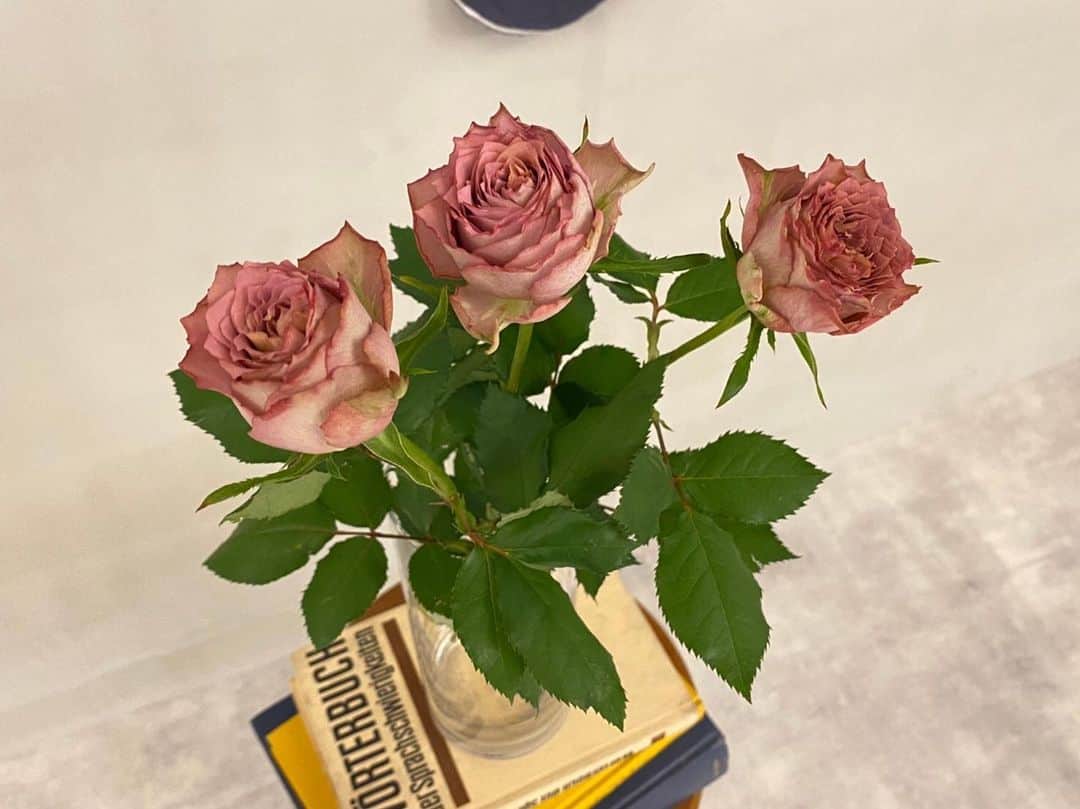 アルマリアンFUKUOKA　公式のグルメインスタ