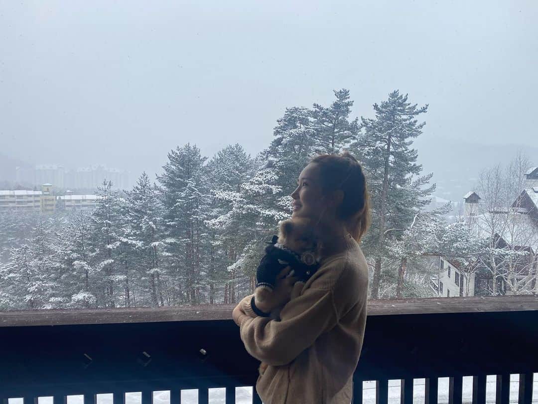 イ・ダヘさんのインスタグラム写真 - (イ・ダヘInstagram)「#요즘  #싱숭생숭 하니 #기분도 #별로 #였는데 #눈보니 #그래도 #기분전환 #첫눈 #온날 #온세상이 #하얗게 #이쁘게 #변한날 #코로나19물러가라」12月17日 14時55分 - leedahey4eva