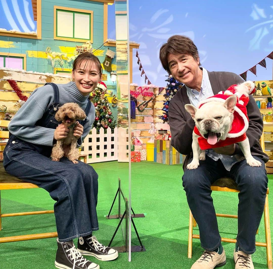 テレビ東京「どうぶつピース‼︎」のインスタグラム：「今日よる6時25分からは #イタズラペット SP🐈🐈🐕  ボクとなちゅちゃん同時にあくびしている瞬間を激写されてたワン🐷 あくびって移るのかなぁ？？  #絢ちゃん #草刈正雄 さん #久しぶりの再会  #どうぶつピース #テレビ東京 #ぴーす君 #フレンチブルドッグ  #frenchbulldog」