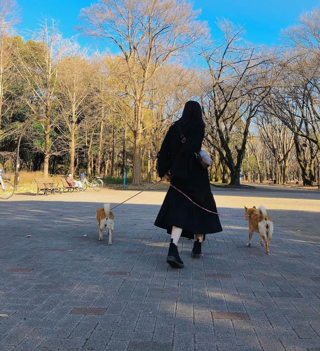 中山来未のインスタグラム：「YouTubeお邪魔してきました🍡 わんちゃん達愛くるしかった💓  @daisuke.sabashi」