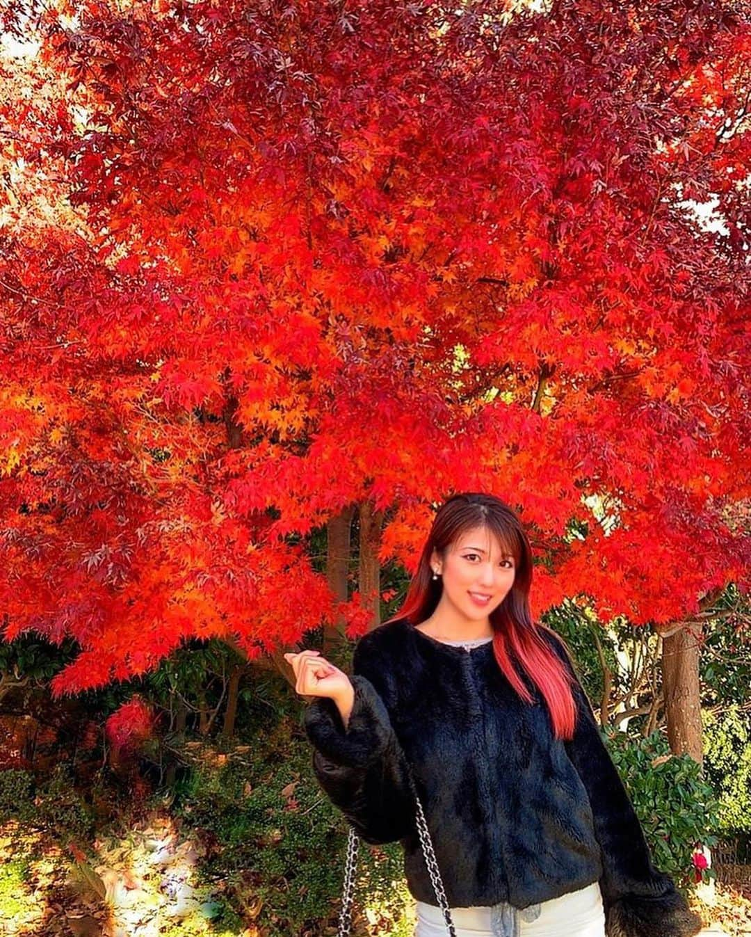 神谷麻美さんのインスタグラム写真 - (神谷麻美Instagram)「#紅葉 🍁❤✨ #真っ赤 だね❤🍁✨ #真っ赤な秋 🍁🏯❤✨」12月17日 15時16分 - asamice428