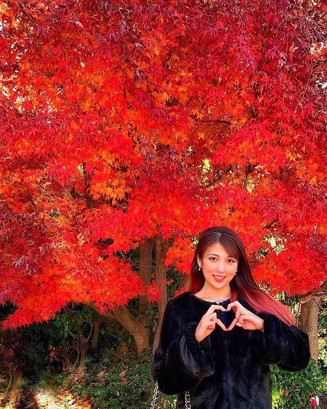 神谷麻美さんのインスタグラム写真 - (神谷麻美Instagram)「#紅葉 🍁❤✨ #真っ赤 だね❤🍁✨ #真っ赤な秋 🍁🏯❤✨」12月17日 15時16分 - asamice428