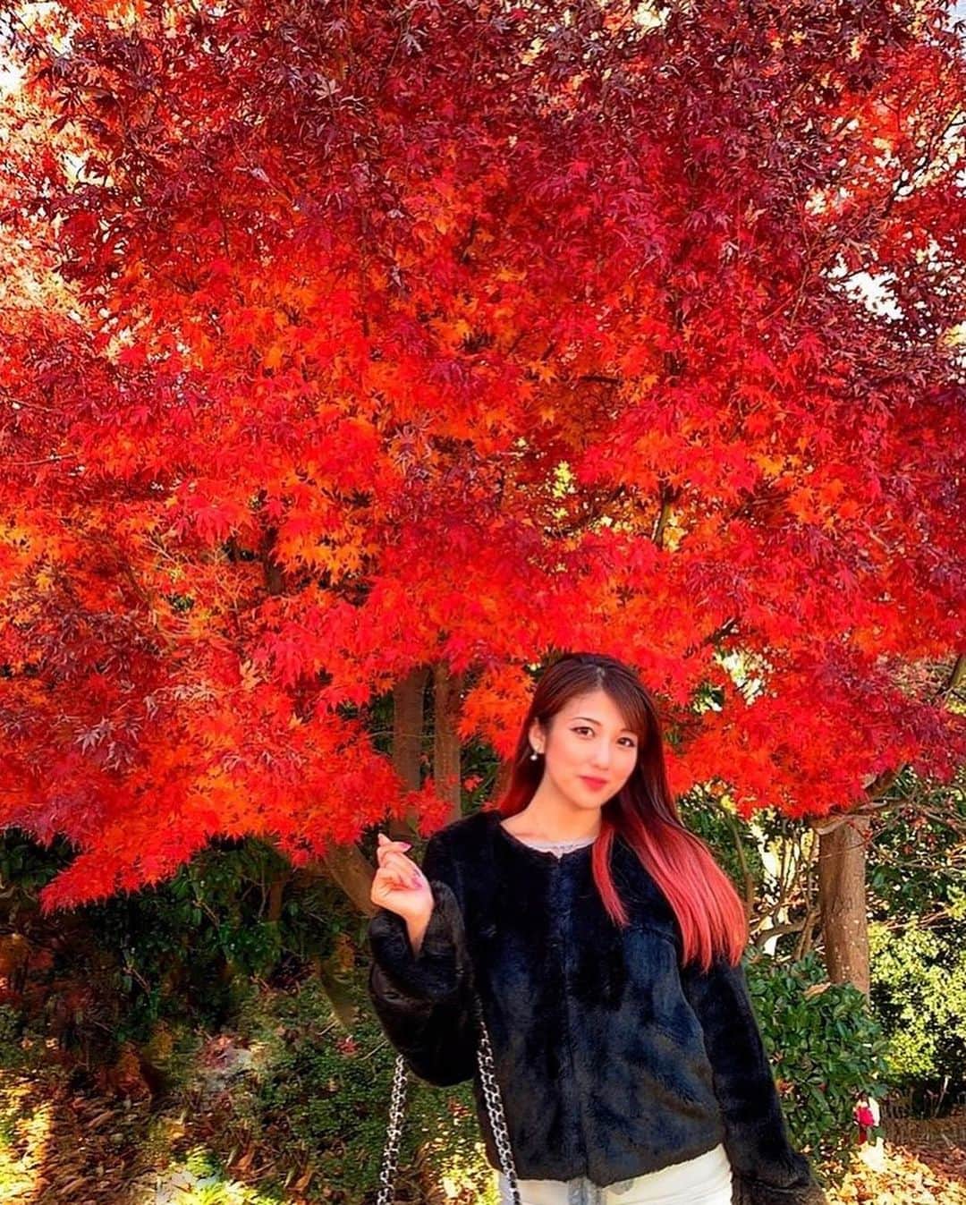 神谷麻美さんのインスタグラム写真 - (神谷麻美Instagram)「#紅葉 🍁❤✨ #真っ赤 だね❤🍁✨ #真っ赤な秋 🍁🏯❤✨」12月17日 15時16分 - asamice428