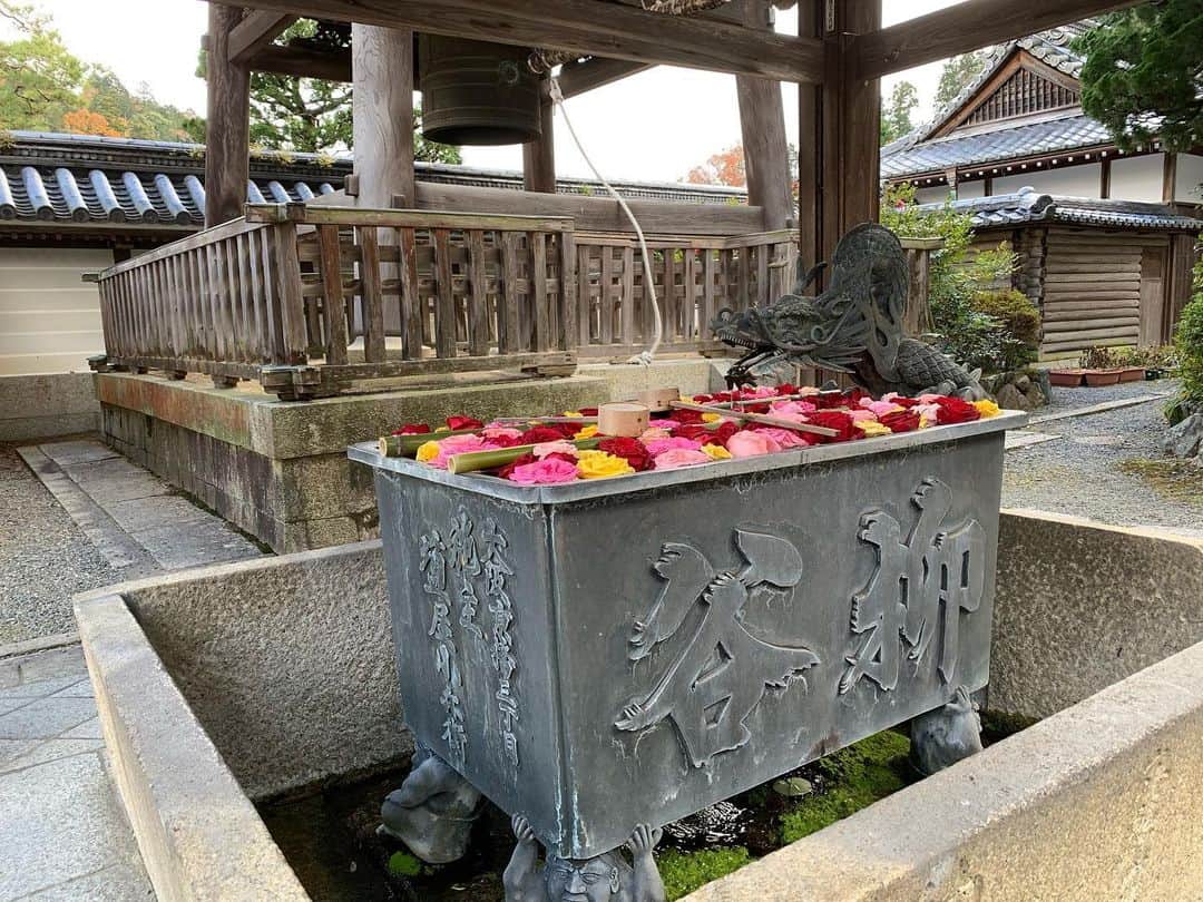 忍成修吾さんのインスタグラム写真 - (忍成修吾Instagram)「先日、寄らせて頂いた京都の写真📸 久しぶりにお邪魔させて頂いた、大好きなお寺さんの楊谷寺さん☺️ 相変わらず、素敵でした~ やはりお庭が好きだな~‼️ そして、帰る前に、ここもまた大好きなちゃんこ鍋屋さんに行って来ました‼️ 営業されてる期間が限られているので、この時期に京都に行けるとどうしても行きたくなってしまいます😁 相変わらず、美味しかった~✨ 限られた滞在でしたが、満喫しました♪ 京都では雪❄️もちらつき、久しぶりの東京もとても寒くなっていました🥶 いよいよ本格的な冬ですね~ 皆様、体調にお気をつけて年末をお過ごし下さい。」12月17日 16時05分 - shugo_oshinari