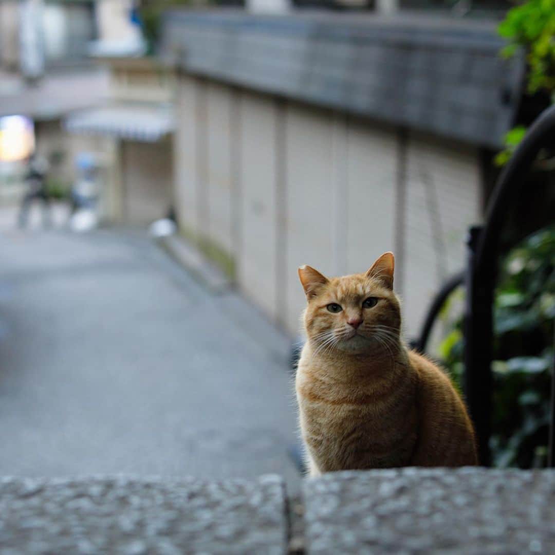 ををつかのインスタグラム