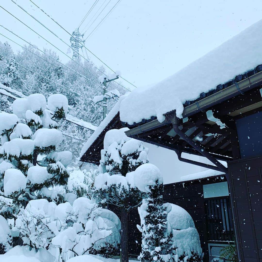 都竹悦子さんのインスタグラム写真 - (都竹悦子Instagram)「こんなに一気に降るなんて！ 降るなら、雪ももっと上手に降ればいいんやさ！  近所のおばさま談。  #ちょっと昨日　#雪かきしたら　#腕と背中バッキバキに筋肉痛　#主人は　#昨夜2時間　#今朝1時間　#雪かきしてくれました　#感謝しかない  #まだ降る様子　#2020年12月17日　#飛騨の冬」12月17日 8時57分 - etsukotsuzuku