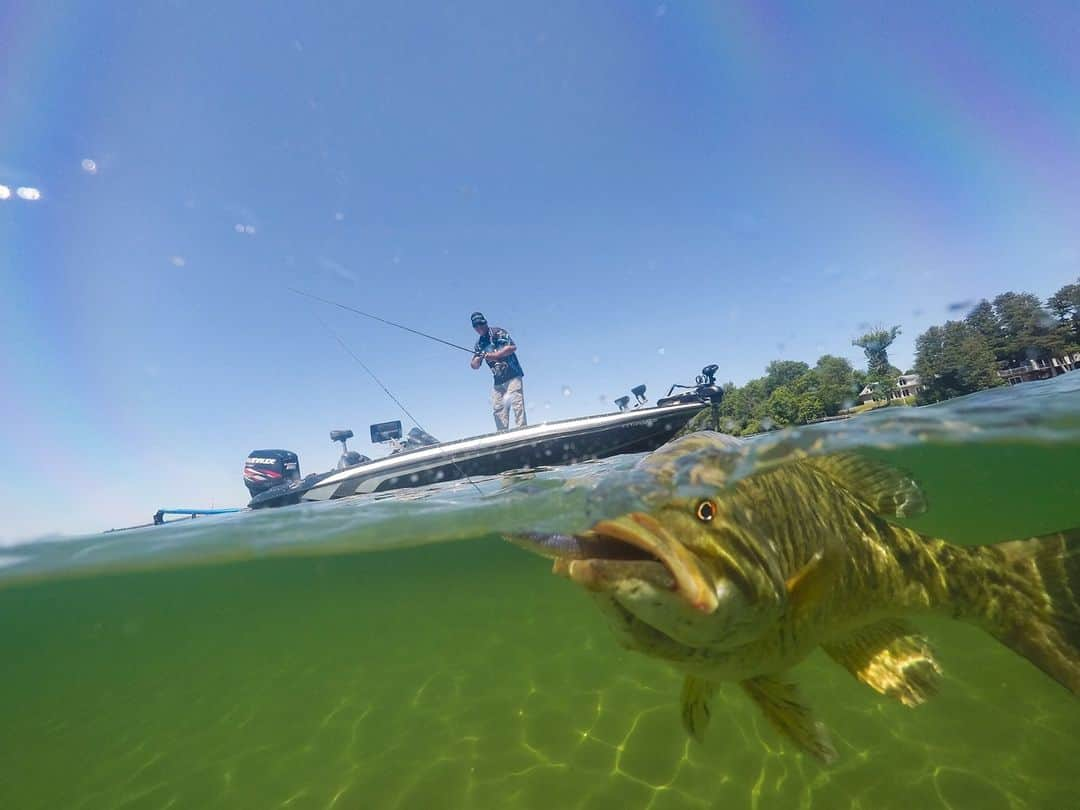 シマノ｜Fishingさんのインスタグラム写真 - (シマノ｜FishingInstagram)「Eyes full of anger.  What's your go-to bait for smallmouth in clear water?  #BassFishing #Smallmouth #Smallies」12月17日 9時00分 - fish_shimano_north_america