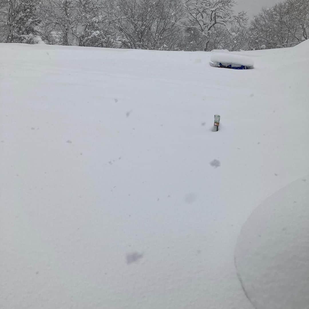 本坊元児さんのインスタグラム写真 - (本坊元児Instagram)「12/20（日）大根収獲体験  本坊ファーム gsfr3.app.goo.gl/Wenz73 @ynn47_yamagata @BASEec  こちらのイベントですが大雪のため畑まで行けなくなってしまいました。ソラシド もお客さんも命がけでするイベントではないと思いましたので中止とさせていただきます。何卒ご了承ください。」12月17日 9時01分 - honbouganji