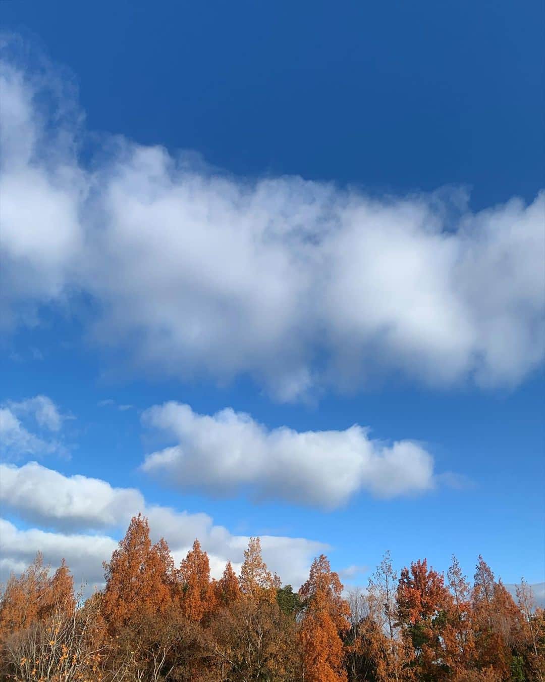 浦川望美さんのインスタグラム写真 - (浦川望美Instagram)「毎朝ここからの景色が変わるのを見るのが好きな時間。 寒い季節に暖かい色に染まってくれてありがとう。」12月17日 9時23分 - noz_omi