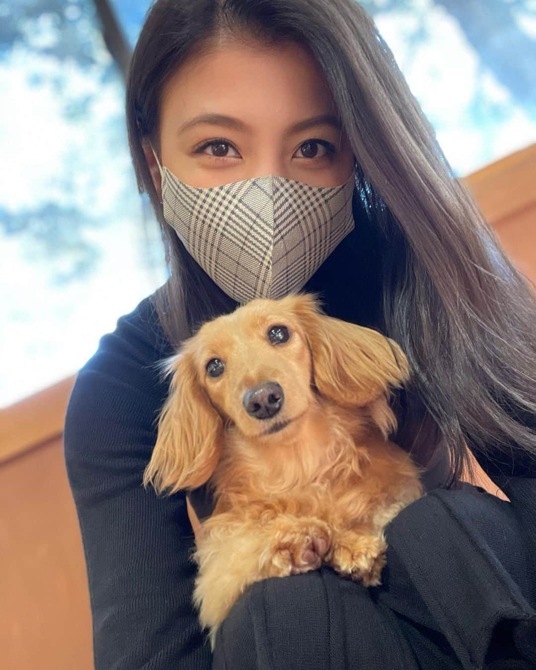 源崎トモエさんのインスタグラム写真 - (源崎トモエInstagram)「かわいすぎる🥺💕 . #犬と触れ合える場所 #犬の館  #犬好き #癒される #犬アレルギーだけど犬が好き  #アレルギーじゃなければ飼いたい🥺 #切実」12月17日 9時41分 - ggeenn1119