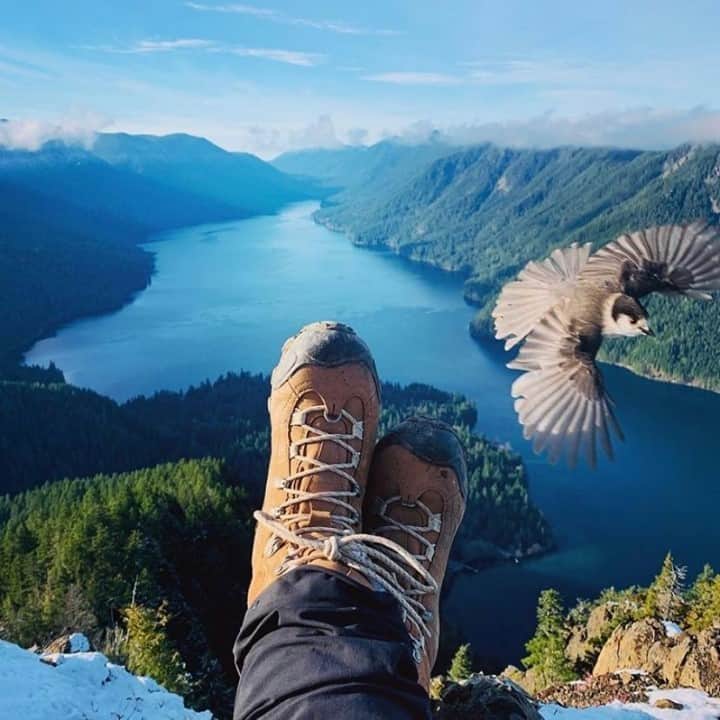 オボズさんのインスタグラム写真 - (オボズInstagram)「From backyard birders to globetrotting adventurers, the @audubonsociety has compiled the 44 perfect gifts for the bird and nature lovers in your life....you may even find some familiar boots included on the list 😉 🥾⠀ ⠀ Read more in our bio⠀ 📷  @paths.i.take ⠀ .⠀ .⠀ .⠀ #truetothetrail #giftguide #audobon #birding #birdwatching #nature #gifts」12月17日 10時05分 - obozfootwear