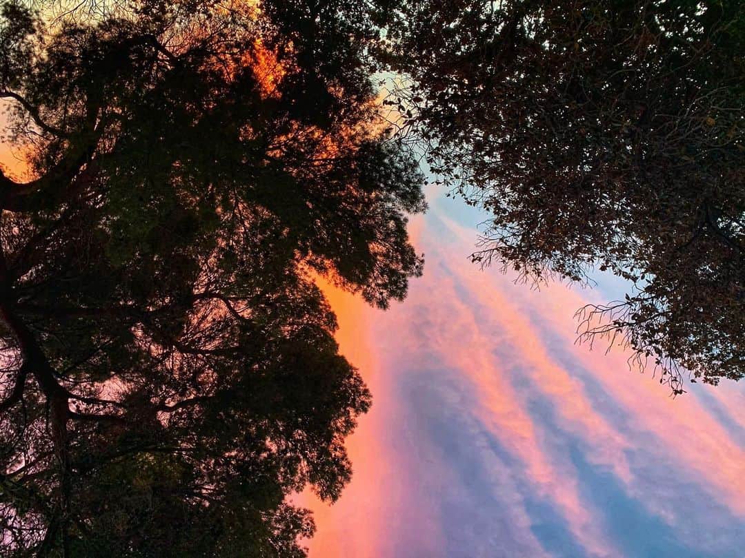 ケリー・オックスフォードのインスタグラム：「👁 LOOKED UP 👁 I don’t know if I’m just vibing right now or if this truly looks like a miracle.」