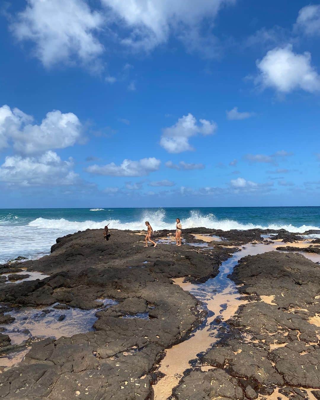 トリ・プラバーのインスタグラム：「Lord of the flies and #nofilter」