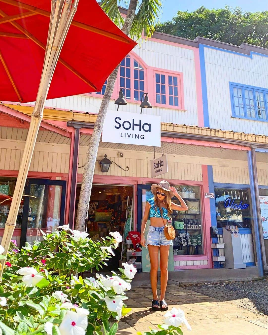 shihoのインスタグラム：「💗🤍💗🤍💗 ・ 📍SoHa Living Haleiwa ・ 大すきなショップ『ソーハリビング』 ハレイワにあるショップは 外観もかわいくてたくさんの種類があって 欲しいものがたっっくさん♡ ・ 2枚目以降は去年のクリスマス時期のもの。 暖かい場所でのクリスマスは 不思議な感じだけど、 やっぱりクリスマスって わくわくしちゃうよねっ🤩♥️ ・ #hawaii#islandofoahu#oahu#ハワイ#trip #オアフ島#travel#loco_hawaii#travel_jp #funtorip#タビジョ#旅MUSE#genic_travel #genic_mag#たびねす#旅行#genic_hawaii #sohaliving#haleiwa#northshore#town #haleiwatown#ハレイワ#shop#oahuhawaii #tabijyomap_hawaii#lealeahawaii#2020」