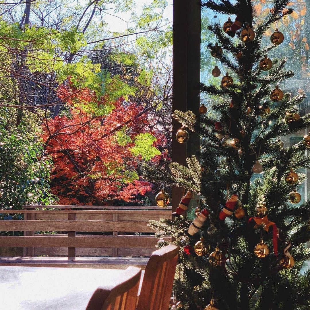 宇藤えみのインスタグラム：「🍁🎄🍁🎄🍁🎄 #暮らし」