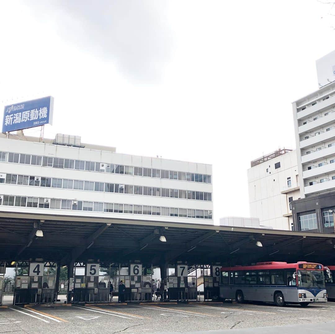 能町みね子さんのインスタグラム写真 - (能町みね子Instagram)「新潟駅前バスセンターの大きな数字かいてある感じが好き。昭和風」12月17日 11時16分 - nmcmnc