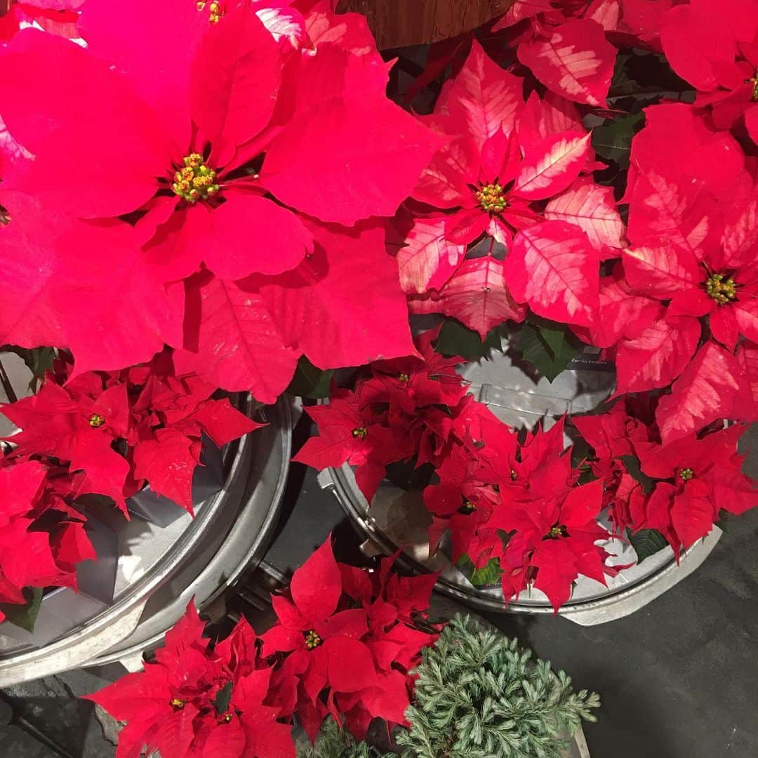 増山敬子のインスタグラム：「この季節やっぱりワクワクしちゃうよね🎄」