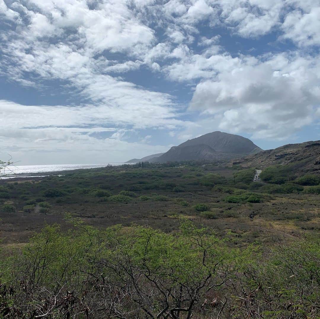 飯島寛子さんのインスタグラム写真 - (飯島寛子Instagram)「久しぶりにマカプウへ。 風が心地よかったです。  #makapuu #マカプウ #ハワイライフ　#ハワイトレイル　#ウォーキング」12月17日 12時03分 - hirokoiijima