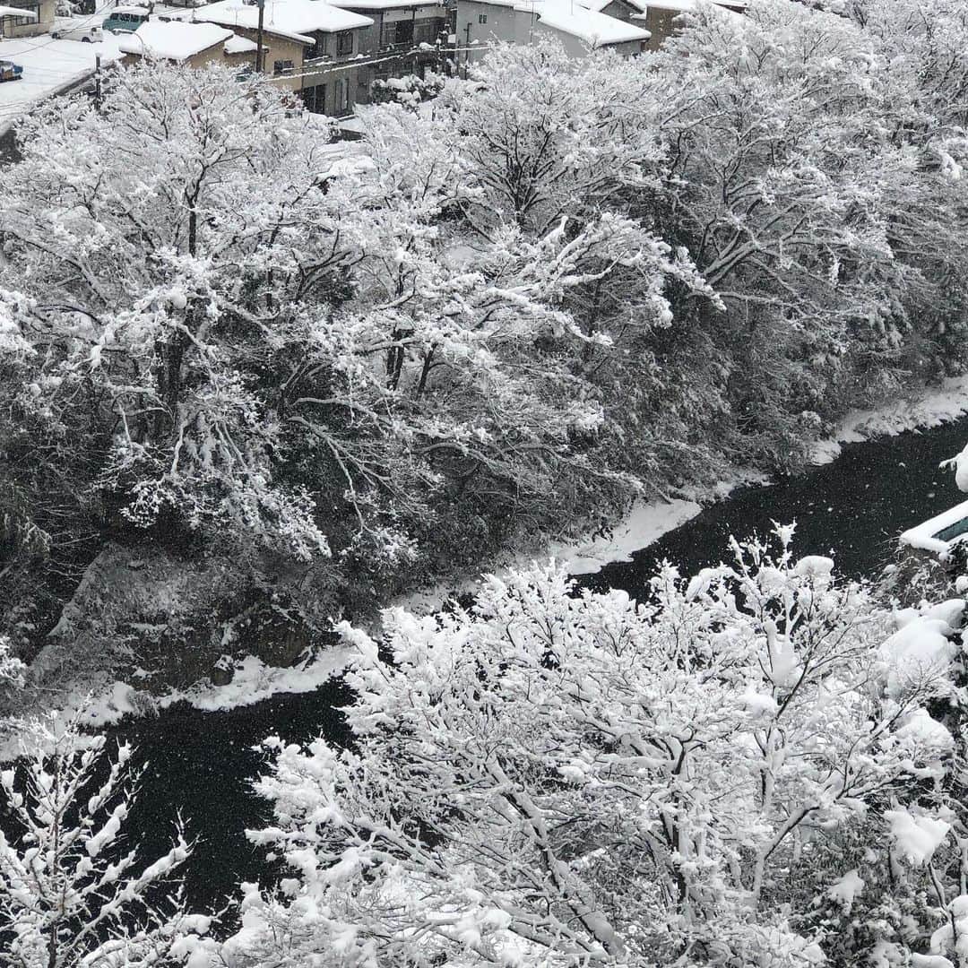 白鳥久美子さんのインスタグラム写真 - (白鳥久美子Instagram)「昨日の福島 初雪を地元福島で体験できて ヤッピー。 一日中ずっと雪でした。 去年は雪が少なくて スキー場も困っていたらしいけれど、 今年は大丈夫かな？ 昨日は大雪で 大変だった地域もあったみたいですね。 運転などお気をつけ下さいね。」12月17日 12時18分 - tanpopo_shiratori