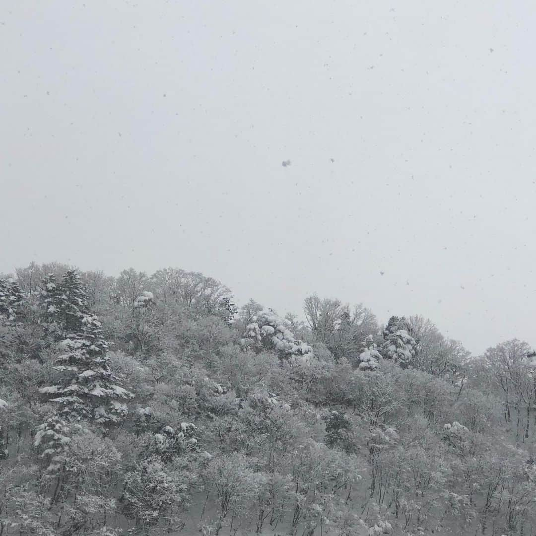 白鳥久美子さんのインスタグラム写真 - (白鳥久美子Instagram)「昨日の福島 初雪を地元福島で体験できて ヤッピー。 一日中ずっと雪でした。 去年は雪が少なくて スキー場も困っていたらしいけれど、 今年は大丈夫かな？ 昨日は大雪で 大変だった地域もあったみたいですね。 運転などお気をつけ下さいね。」12月17日 12時18分 - tanpopo_shiratori