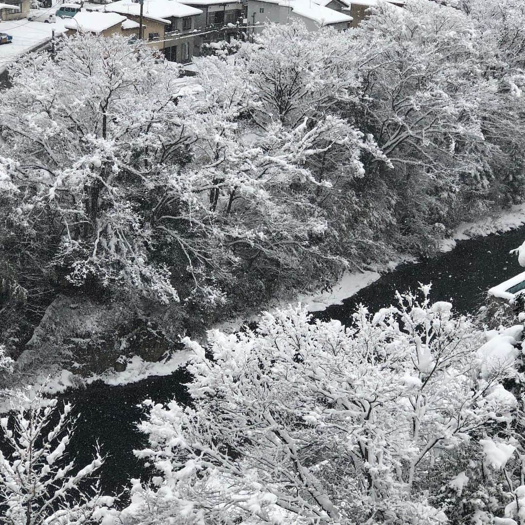 白鳥久美子のインスタグラム：「昨日の福島 初雪を地元福島で体験できて ヤッピー。 一日中ずっと雪でした。 去年は雪が少なくて スキー場も困っていたらしいけれど、 今年は大丈夫かな？ 昨日は大雪で 大変だった地域もあったみたいですね。 運転などお気をつけ下さいね。」