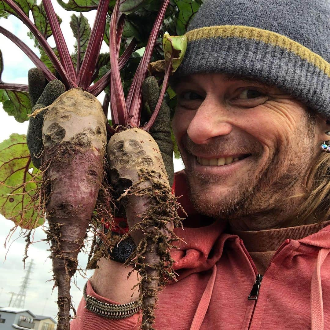 セイン・カミュさんのインスタグラム写真 - (セイン・カミュInstagram)「I’m a Farmer💖🎉 Growing my organic vegetables❣️Just had my first harvest of long onions, beets and black radishes 💕😆 loving Mother Nature ❤️ And deeeelicious🤤 #thanecamus #farmer #farming #organicfarming #organic #vegetables #veggies #healthy #healthyfood  #delicious #yummy #mothernature」12月17日 12時38分 - thanecamus