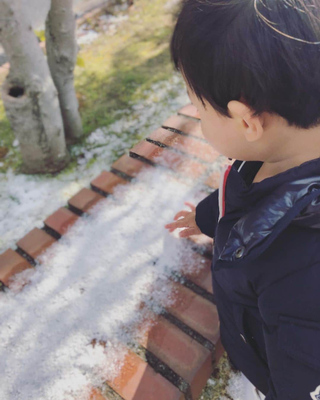 本田朋子さんのインスタグラム写真 - (本田朋子Instagram)「今日は雪遊びできるかなぁと期待していましたが、朝ごはんを終えて公園まで行ってみると、もう解けていました。 雪が積もっていないのは、残念なような…ホッとしたような。  #新潟 #雪  #雪遊び #雪かき #2歳  #boy」12月17日 12時58分 - tomoko_honda_official_phonics