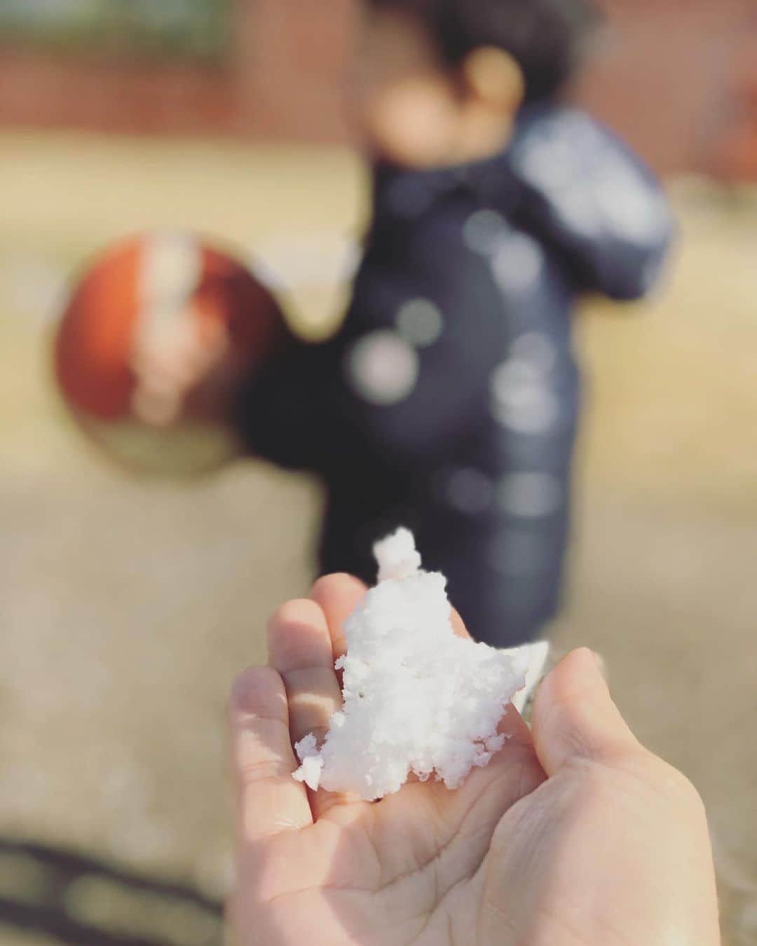 本田朋子さんのインスタグラム写真 - (本田朋子Instagram)「今日は雪遊びできるかなぁと期待していましたが、朝ごはんを終えて公園まで行ってみると、もう解けていました。 雪が積もっていないのは、残念なような…ホッとしたような。  #新潟 #雪  #雪遊び #雪かき #2歳  #boy」12月17日 12時58分 - tomoko_honda_official_phonics
