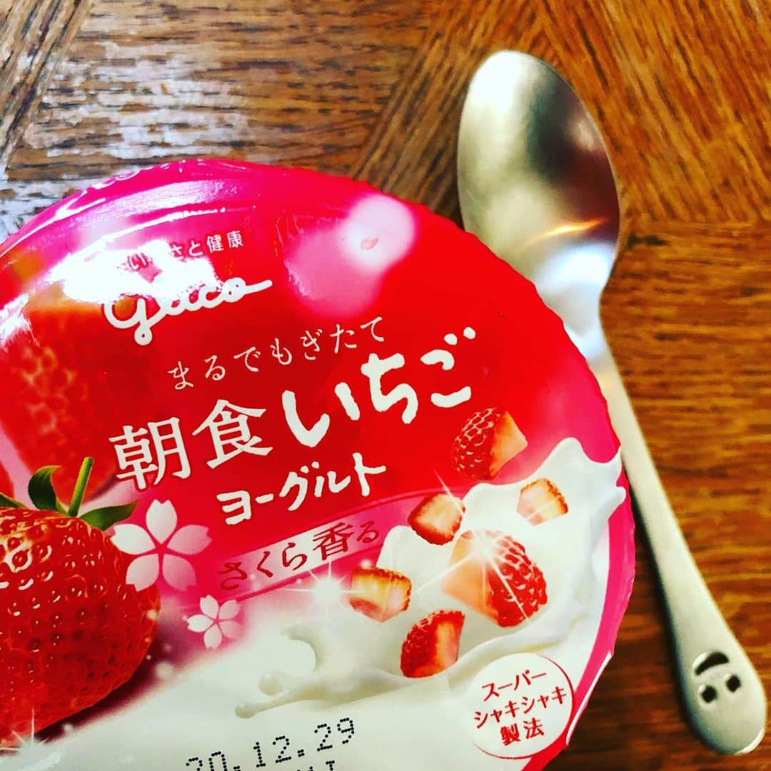 藤田朋子さんのインスタグラム写真 - (藤田朋子Instagram)「昨日はありがとうございました🍓 という訳で #朝食いちごヨーグルト 食べます #インスタライブ #感謝」12月17日 13時00分 - chiendormant