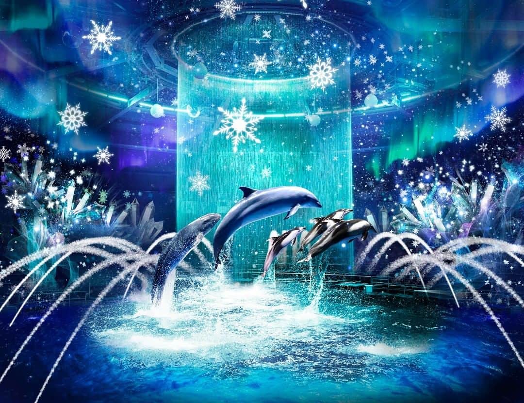 アクアパーク品川さんのインスタグラム写真 - (アクアパーク品川Instagram)「＼COMING SOON／⁣ ⁣ 2020年12月26日(土)よりお届けする⁣ ナイトドルフィンパフォーマンスは、⁣ デジタルアートのオーロラや雪氷きらめく⁣ 「BRIGHT CRYSTAL」❄⁣ ⁣ 冬ならではの透きとおるような情景と⁣ 美しく舞うイルカたちが織りなす、⁣ 幻想的な海の世界へぜひお越しください。⁣ ⁣ どうぞお楽しみに！⛄⁣ ⁣ -------------------------------------------------⁣ ナイトドルフィンパフォーマンス⁣ 「BRIGHT CRYSTAL」⁣ ⁣ ＜期間＞⁣ 2020年12月26日(土)～2021年2月28日(日)⁣ ⁣ ＜開演時間＞⁣ 【平　日】6:00P.M.⁣ 【土休日】5:30P.M.／7:00P.M.⁣ ⁣ ※12月26日(土)～1月11日(月・祝)は、⁣ 【土休日】の開演時間となります。⁣ -------------------------------------------------⁣ ⁣ #冬イベント #水族館デート #冬休み⁣ #プロジェクションマッピング⁣ #イルミネーション⁣ ⁣ #マクセルアクアパーク品川⁣ #MaxellAquaParkShinagawa⁣ #アクアパーク #aquapark⁣ #アクアパーク品川⁣ #aquaparkshinagawa⁣ #水族館 #aquarium」12月17日 13時00分 - aquapark_official