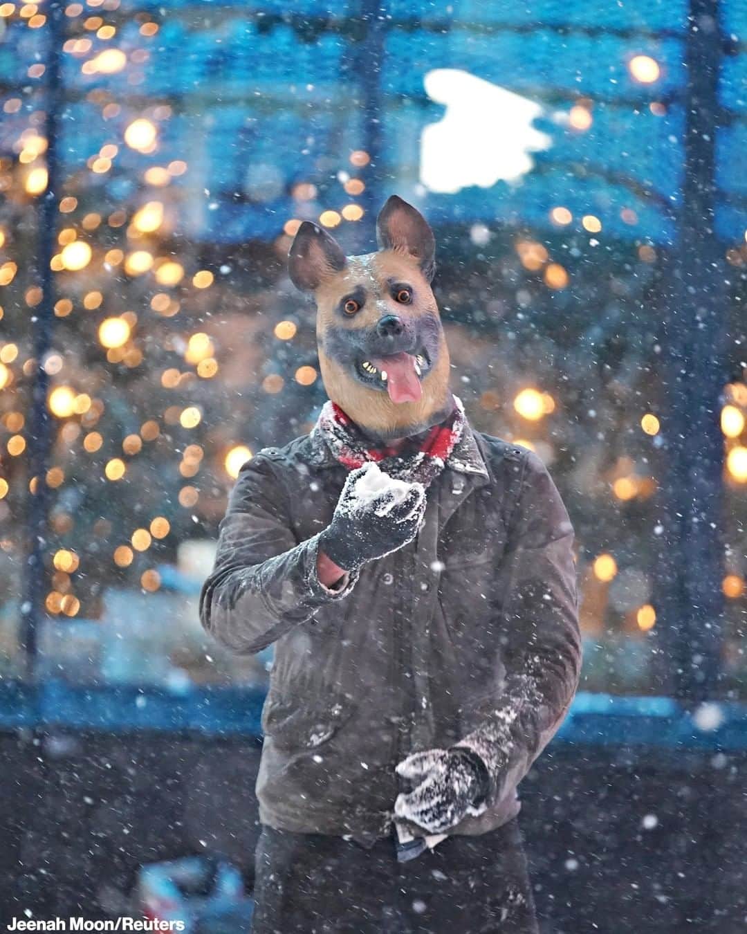 ABC Newsさんのインスタグラム写真 - (ABC NewsInstagram)「A New Yorker wearing a dog mask plays in the snow in Manhattan’s Times Square as a major winter storm slams the Northeast.」12月17日 13時16分 - abcnews