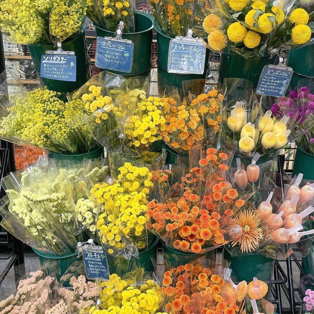 4meee さんのインスタグラム写真 4meee Instagram ユニクロのお花屋さんは知ってる ユニクロ で買えるコスパる抜群なuniqlo Flower カラフルな服を販売するユニクロが 服以外でも日常をカラフルに彩ってほしい という願いからスタートさせ