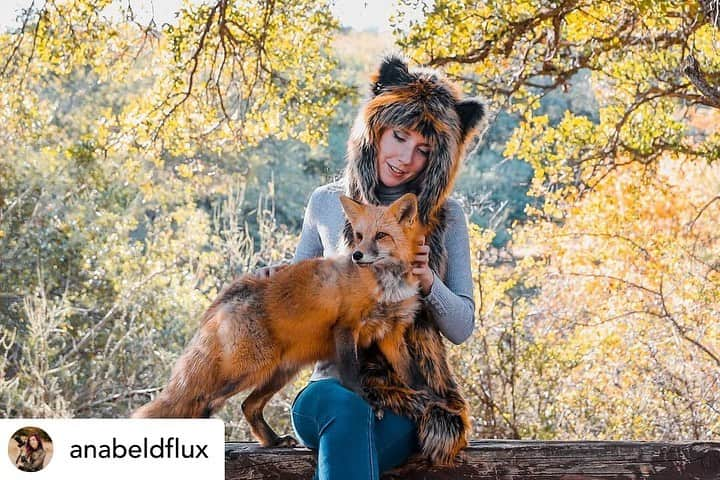 Rylaiさんのインスタグラム写真 - (RylaiInstagram)「The beautiful @anabeldflux in front of the camera!! We are so blessed to have Anabel a part of our team! Anabel has supported our center before it was actually a center!! It can be hard to find people who support the mission and the center without the need for reciprocity.  Anabel has the most amazing heart and selfless soul.  Just for the Panda and Her Pals Project alone, She has helped raise over 6,000 to help bring these amazing Russian foxes to the center!! She donates her skills and time to take amazing photos of our beautiful animals, so we can share their light and love with you!! Please join us in thanking Anabel for going a step beyond and getting in front of the camera to take these beautiful photos!! And shout out to @vette_rodd for taking the photos!!  .  Posted @withregram • @anabeldflux For a little bit of fun, here are some snaps of myself wearing @spirithoods with Viktor of the @jabcecc ♥️ Photos captured by me beloved @vette_rodd!   "Spirit Hoods heard about our global fox rescue and our Fundraising Photoshoot and donated some of their amazing faux fur apparel to be used in the shoot!  There is absolutely no reason to have to murder countless souls to create a fur product just to show your neighbors your definition of “making it”. Not only are there ample products to keep you warm on a cold winter’s night, but amazing faux fur options from Spirit Hoods as well"  We were able to raise $4,000 the weekend this was taken to aid with rescue expenses- with special thanks to @life_with_mia_nina ♥️ $4,600 is still needed to cover all of the out-of-pocket expenses- please considering participating or gifting an Encounter or Photo Shoot with the animals! You can find more information on this at www.JABCECC.org!  • • • • #photographerlife #photography #photographer #portrait #jabcecc #spirithoods #fox #foxes #russianfox #domesticfox #redfox #ambassador #photoshoot #photooftheday #fauxfur #instagood #dflux #dfluxphotography #deliquesceflux」12月17日 13時22分 - jabcecc