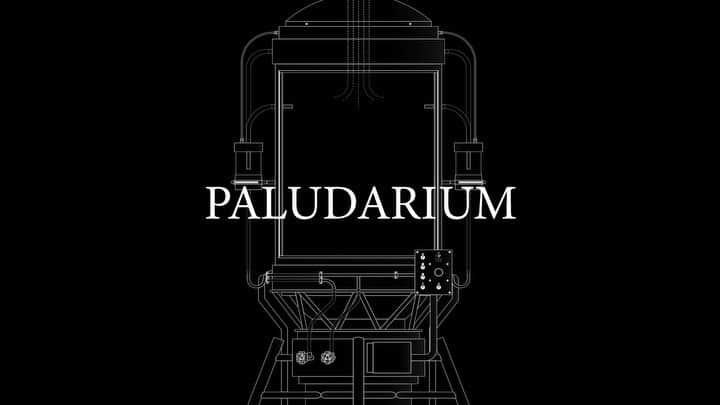 椎木俊介のインスタグラム：「AMKK「 Paludarium Tachiko & Yasutoshi 」 日時：2020年12月12日 - 2021年1月31日 場所：Stand By 渋谷区神宮前5-11-1 開館時間： 10:00 - 19:00 閉館日：火曜日 & 2020年12月28日 - 2021年1月5日  2020年12月12日(土)より、AMKKの個展「Paludarium Tachiko & Yasutoshi」を開催いたします。 「Paludarium」シリーズはAMKKの精神を濃く吹き込んだ作品のひとつです。植物を外気から守り成長を促進させるパルダリウム（温室）を新たに解釈したこの作品群は、本来のパルダリウムが由来する19世紀イギリス貴族の観賞用や娯楽として用いられたものとはまた異なる、現代が誇る文化やテクノロジーに沿った、そして一種の反立を含めた作品群となります。  これまでのAMKKのクリエイティブ思想とStandByの現実から切り離されたかのような空気が交わり、よりソリッドで奥行きを持ったインスタレーションとして完成した空間。貴重なこの機会に是非足をお運びください。  ーーーーーー  AMKK ‘Paludarium Tachiko & Yasutoshi’ December 12, 2020 - January 31, 2021 Place : StandBy @s_tandby 5-11-1, Jingumae, Shibuya-ku, Tokyo Hours : 10:00 - 19:00 Closed : Tuesday & 28th Dec 2020 - 5th Jan 2021  StandBy is pleased to present ‘Paludarium Tachiko & Yasutoshi’, a solo exhibition by AMKK, opening on Saturday, December 12, 2020. ‘Paludarium’ is a series of works that is deeply imbued with the spirit of the AMKK collective. The installation derives its name and design from the ‘Paludarium’; a structure that protects plants from the elements and promotes their growth, and the cultivation of which was a popular pastime amongst British aristocrats in the 19th Century. This installation provides a new interpretation of the Paludarium, bringing it up to date with contemporary culture and fusing it with modern technology and a sense of rebellion.  Playing with the tension between the atmosphere of StandBy’s uniquely surreal space and the creative ideas of AMKK; ‘Paludarium’ is a solid installation with great depth of meaning. We hope you take this opportunity to visit.  @azumamakoto @shiinokishunsuke @amkk_project @s_tandby #amkk #azumamakoto #shiinokishunsuke #StandBy #東信 #椎木俊介 #東信花樹研究所」