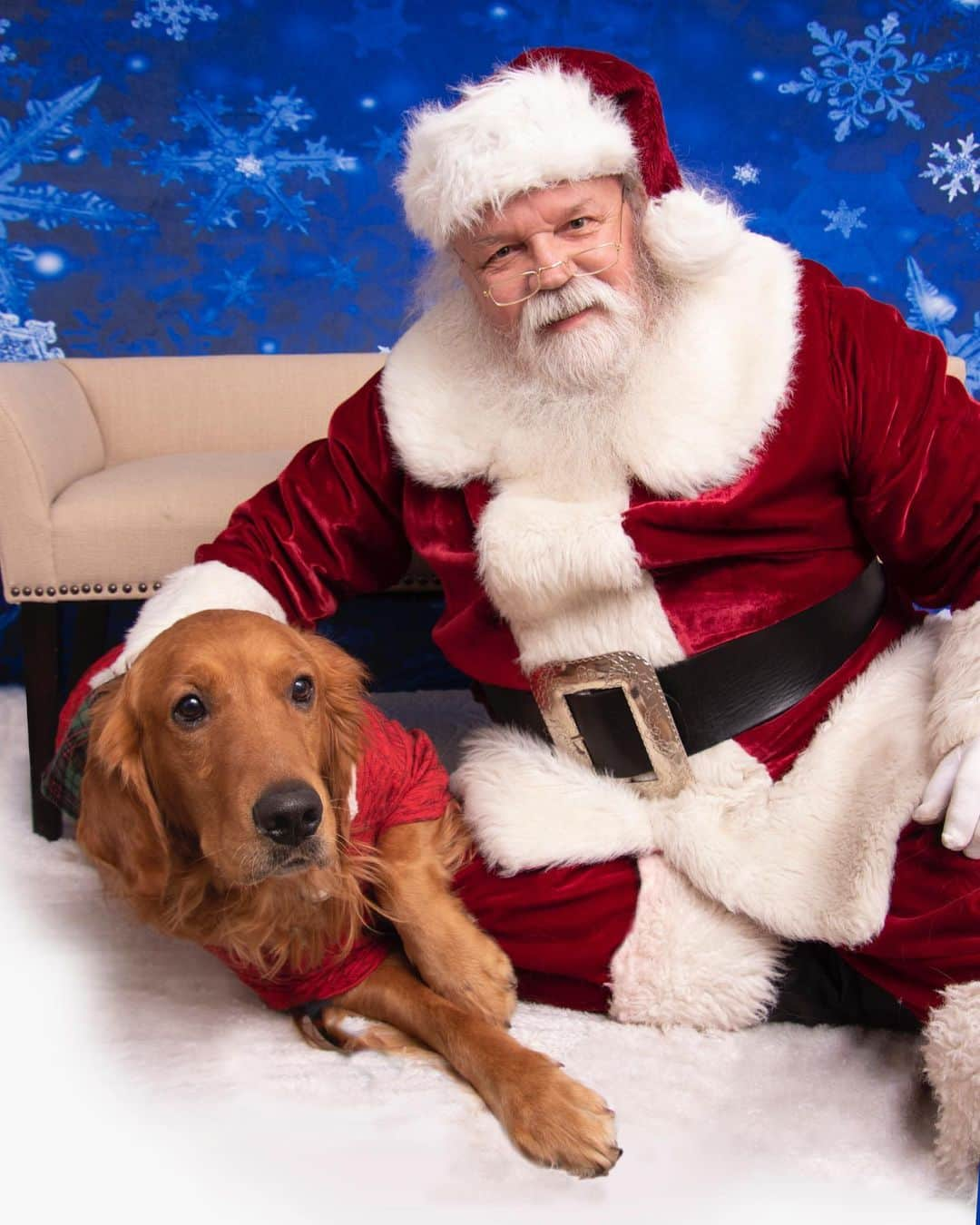 モヒートさんのインスタグラム写真 - (モヒートInstagram)「Here’s out individual Santa photos. Julep and I love him but Killian isn’t so sure, so we didn’t force him. He did get brave and take a few treats from Santa though! #santa #santaclaus #santapaws #christmas #holiday #goldenretriever #goldens_ofinstagram #goldenretrieversofinstagram #dogmom #dogsofcleveland #cleveland #rescuedogsofinstagram」12月17日 14時38分 - mojito_rose_family