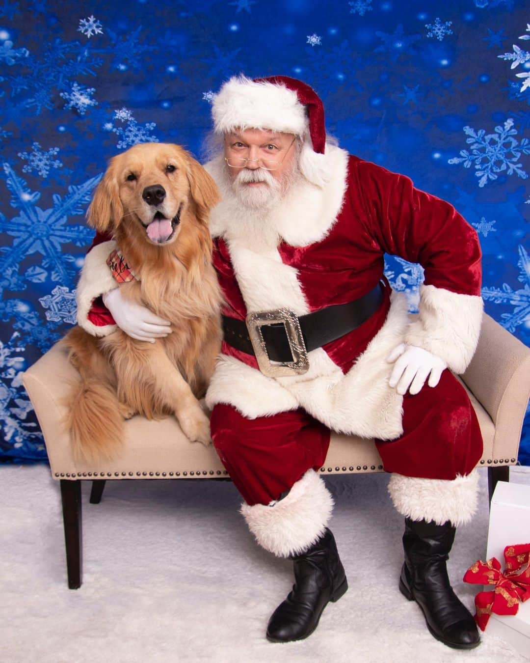 モヒートさんのインスタグラム写真 - (モヒートInstagram)「Here’s out individual Santa photos. Julep and I love him but Killian isn’t so sure, so we didn’t force him. He did get brave and take a few treats from Santa though! #santa #santaclaus #santapaws #christmas #holiday #goldenretriever #goldens_ofinstagram #goldenretrieversofinstagram #dogmom #dogsofcleveland #cleveland #rescuedogsofinstagram」12月17日 14時38分 - mojito_rose_family