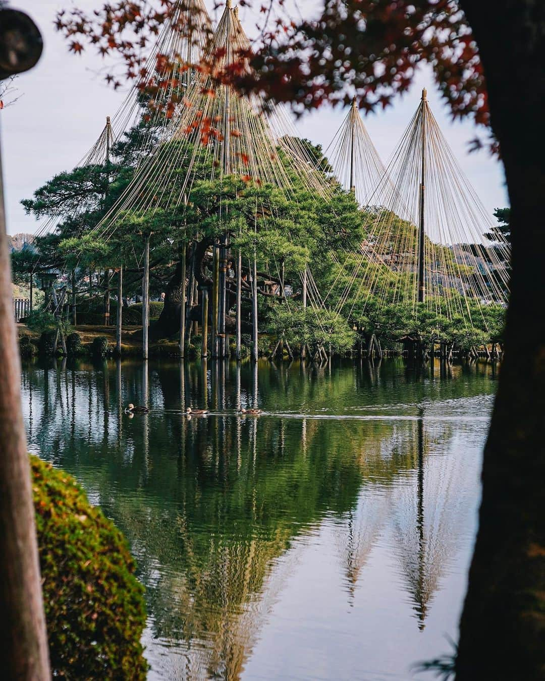 Naokoさんのインスタグラム写真 - (NaokoInstagram)「KANAZAWA..🍁兼六園 * 美しい街、金沢。  金沢は美味しいもの沢山あって 観光もゆっくりできるし 古き良き建物もいっぱいある。 歴史好きにはたまらない浪漫の香りが 随所に漂う魅力的な場所。  #hyattcentrickanazawa  #hyatthousekanazawa  #金沢」12月17日 14時31分 - chiaoking