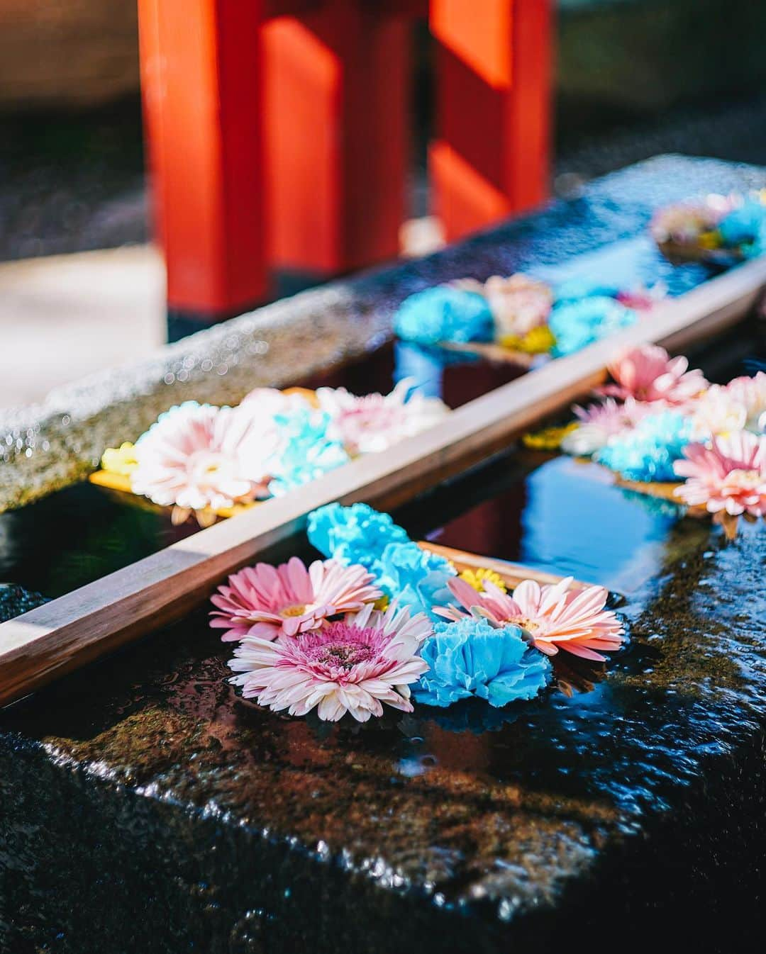 Naokoさんのインスタグラム写真 - (NaokoInstagram)「KANAZAWA..🍁兼六園 * 美しい街、金沢。  金沢は美味しいもの沢山あって 観光もゆっくりできるし 古き良き建物もいっぱいある。 歴史好きにはたまらない浪漫の香りが 随所に漂う魅力的な場所。  #hyattcentrickanazawa  #hyatthousekanazawa  #金沢」12月17日 14時31分 - chiaoking