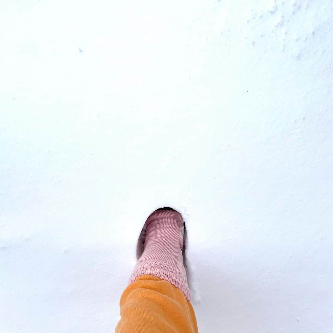 オランピアルタンのインスタグラム：「Has anybody seen my foot? 🤔🦶🏻❄️」