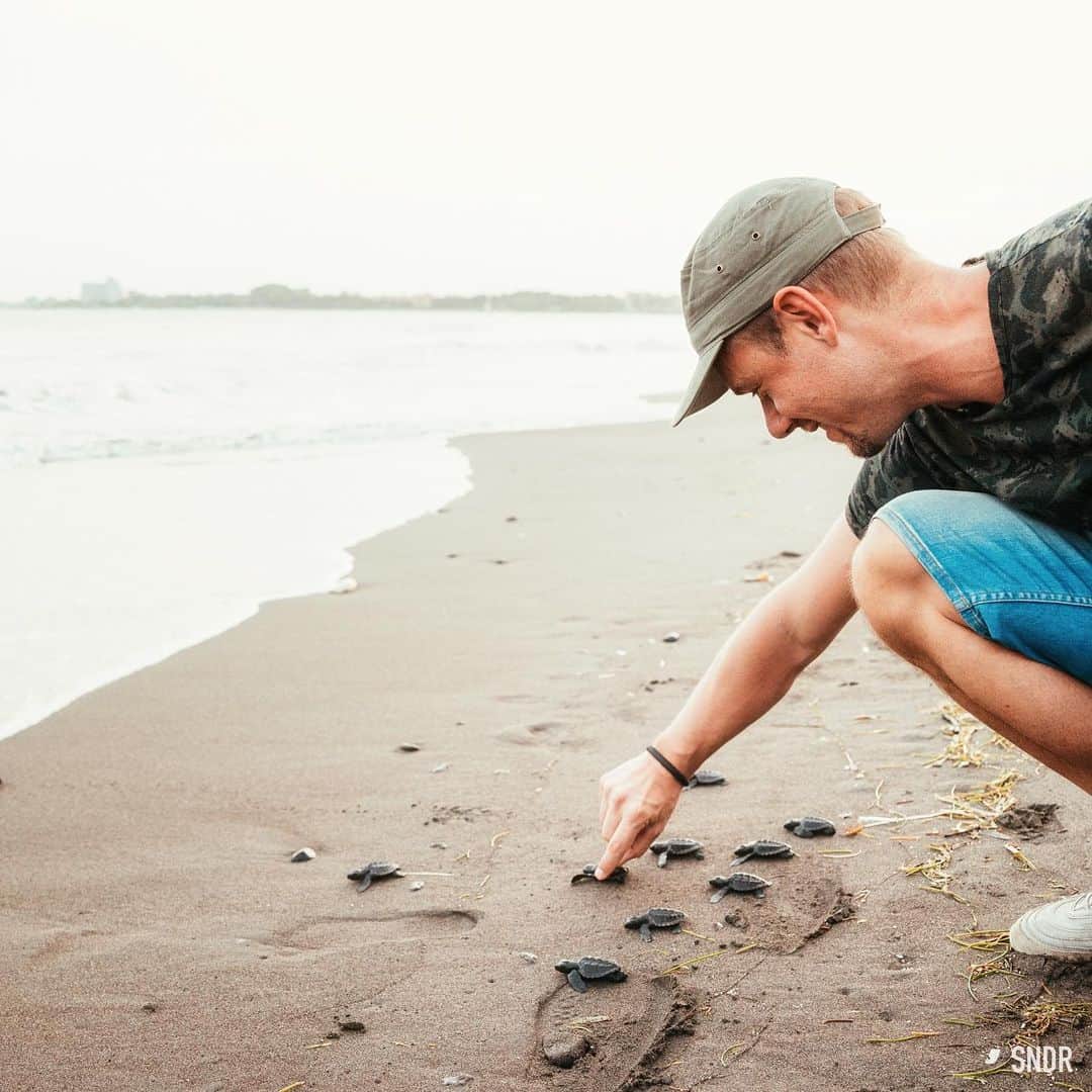 Armin Van Buurenのインスタグラム：「Together we can #beatplastic⁠⠀ ⁠⠀ The tide is turning. People are waking up to the plastic pollution crisis and I'm happy to see that as Global Oceans ambassador for WWF.⁠⠀ ⁠⠀ On behalf of WWF and marine life across the 🌏 I want to thank the 2 million people who have signed the petition calling for a global treaty to #StopPlasticPollution. 65 governments are supporting the treaty thanks to you.⁠⠀ ⁠⠀ Unless decisive action is taken, by 2050 there could be more plastic in the sea by weight than fish. Plastic in the ocean suffocates marine wildlife. It gets into the food we eat and even the air we breathe.⁠⠀ ⁠⠀ Join in calling on world leaders to stop plastic leaking into the ocean. Together we can protect our beautiful ocean and the marine life that calls it home 🐋🐬🐟🦈🐙 ⁠⠀ ⁠⠀ Haven't voted yet? (link in bio)」