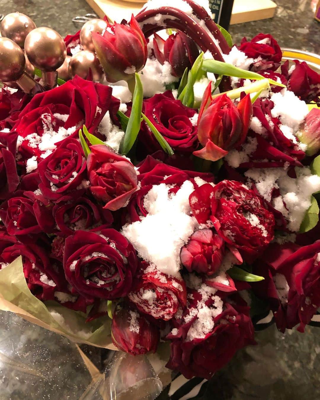 スーザン・ルッチさんのインスタグラム写真 - (スーザン・ルッチInstagram)「What a magical surprise —these gorgeous roses at my front door in the snow!!! #thankYOUjames @adaptwechange ADAPT WE CHANGE does such important, amazing and loving work for challenged children and their families in NYC!!! I am honored to be associated with them❤️❤️❤️」12月18日 1時12分 - therealsusanlucci